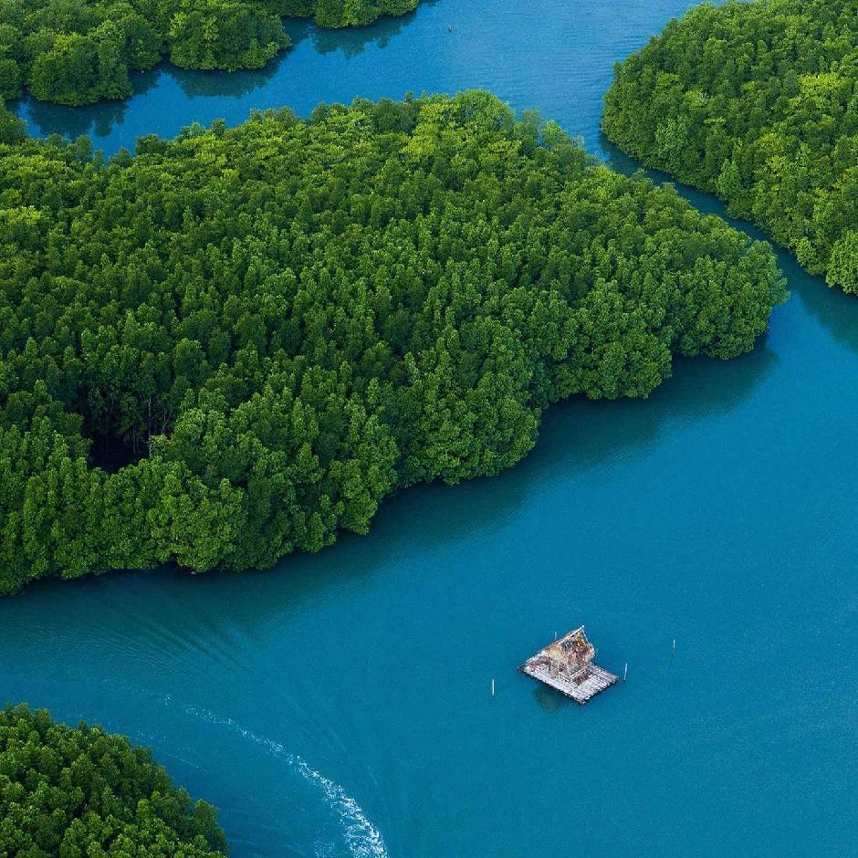 蓝海