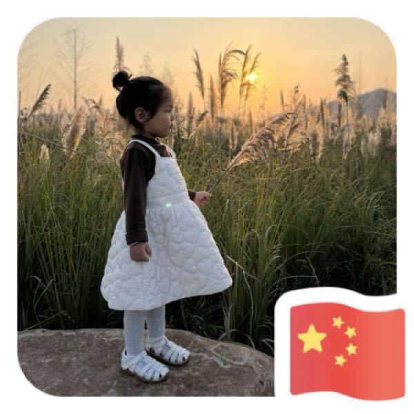 河边木