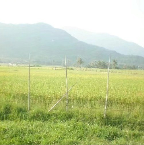 郭恒君