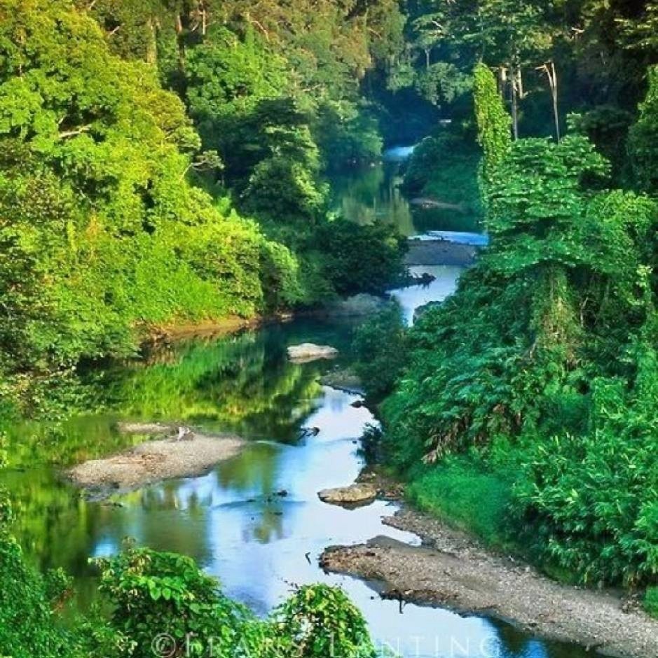 自然风景