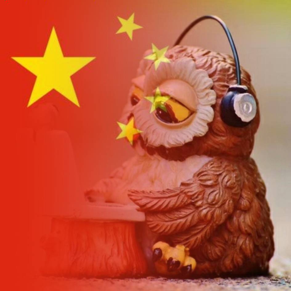 大象的鼻子长啊长🐘