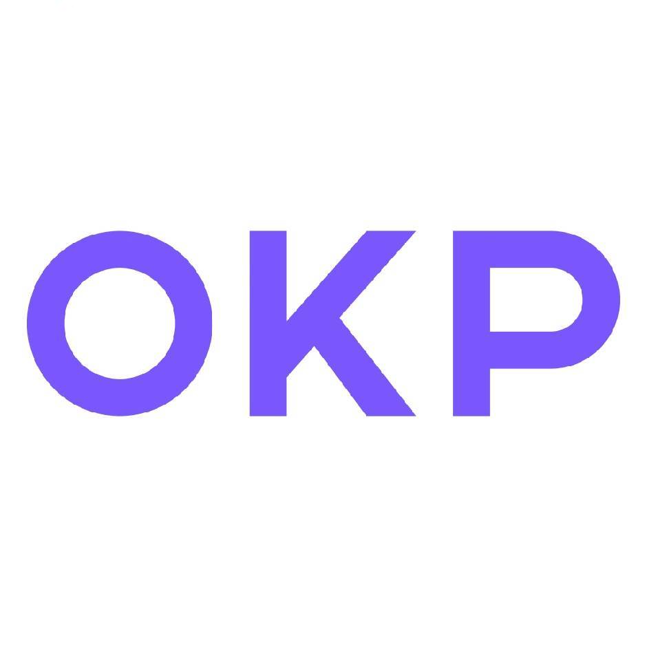 OKP扫地机-刘峰