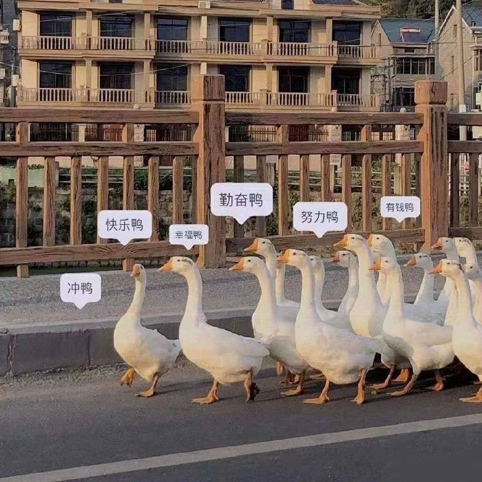 用戶頭像