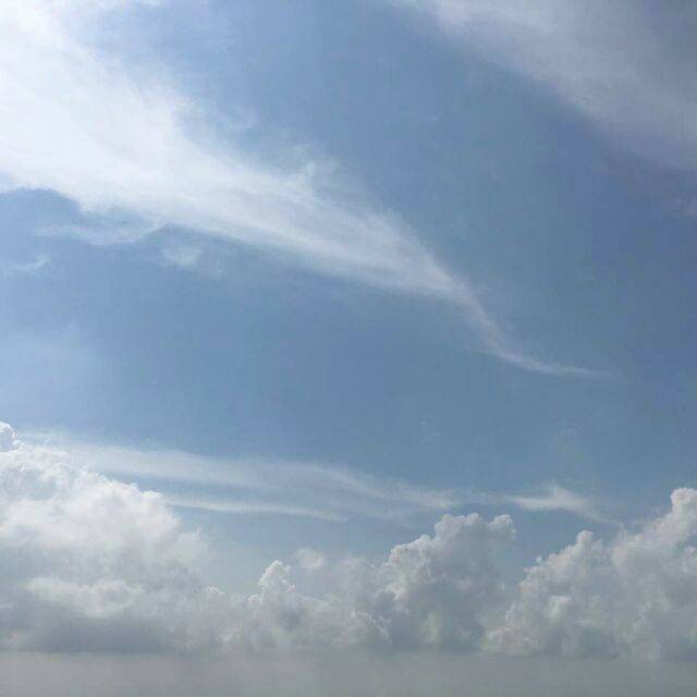 陈涛Atlas