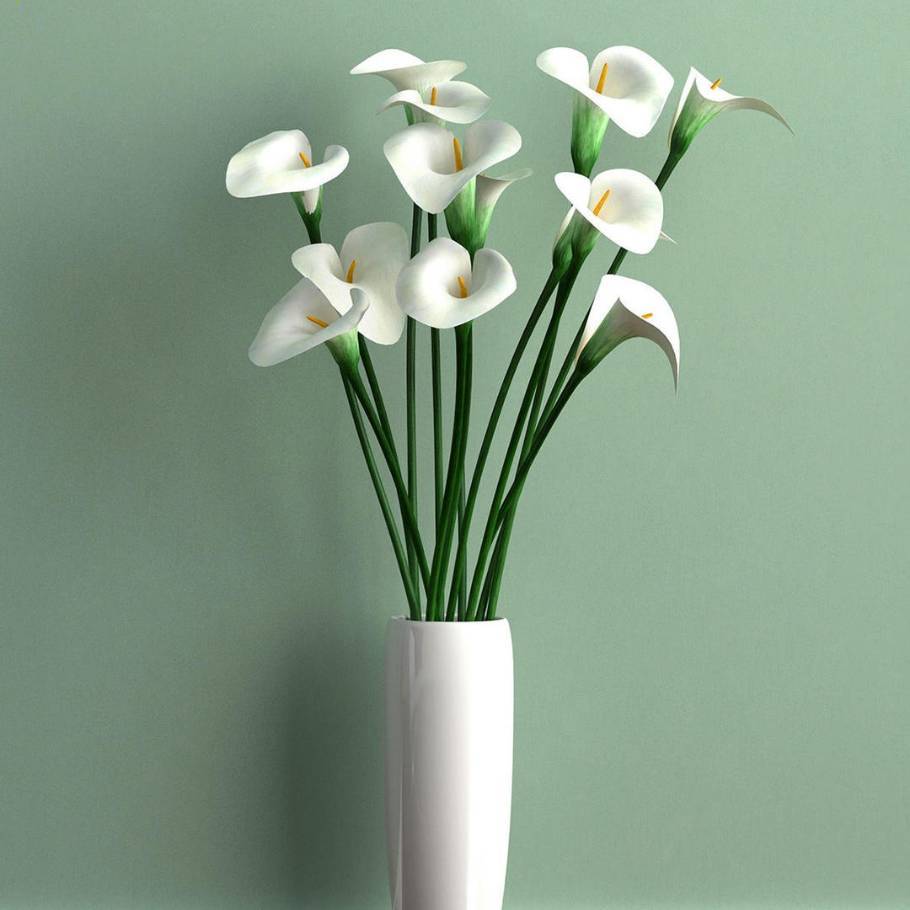 专注直播，人脸识别摄机