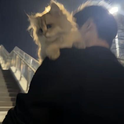 灰太狼