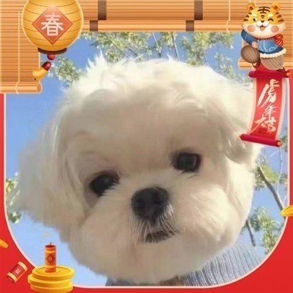 Kimi
