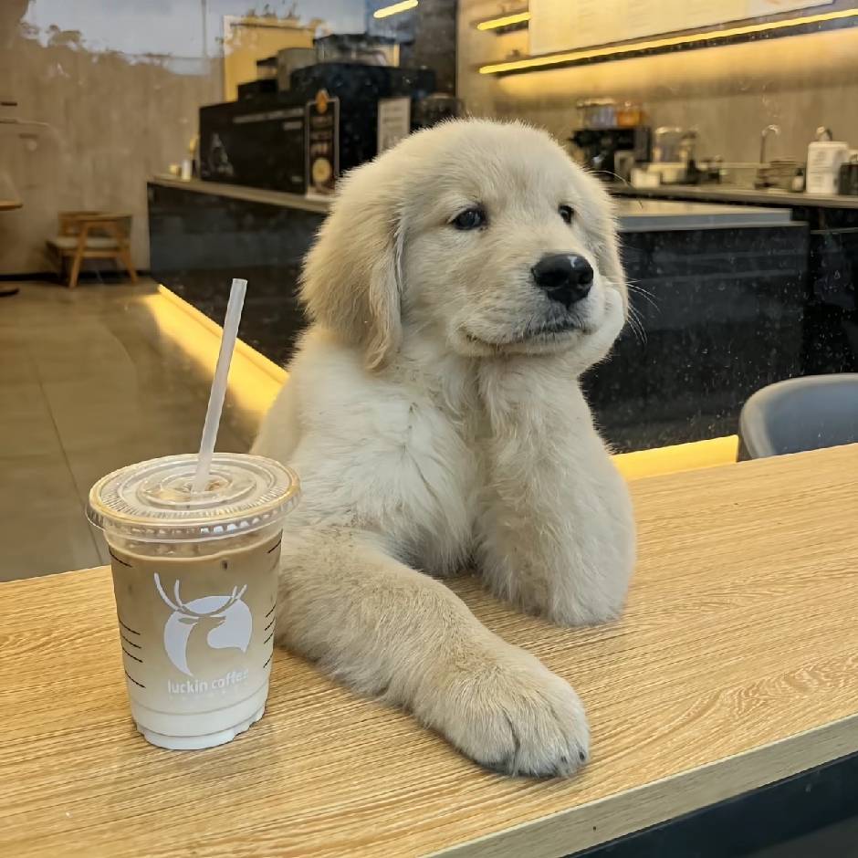 A千寻百念|域名|支付|网站