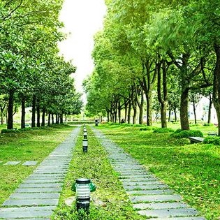 青梧岐语