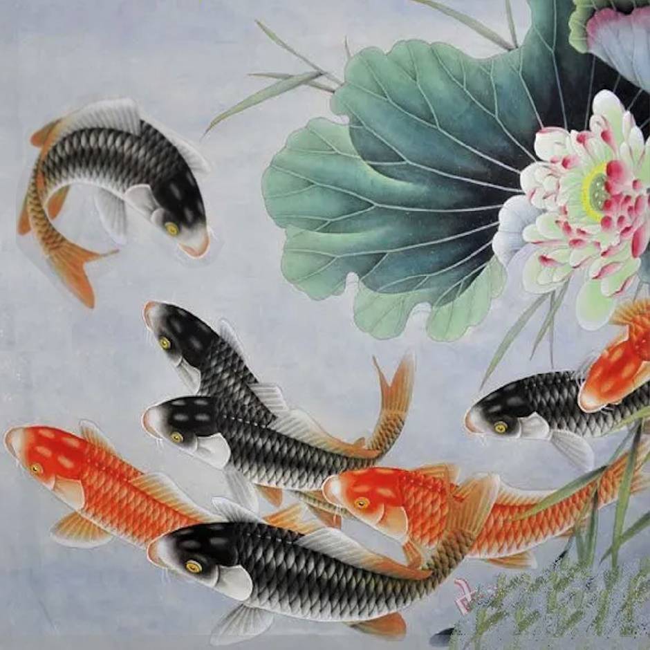 陈瑜 软件开发
