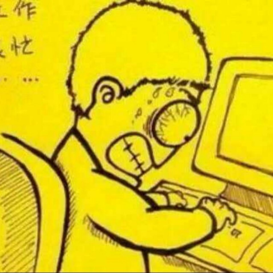 修炼中的程序猿