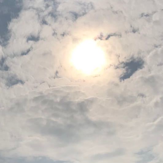 网站设计，小程序