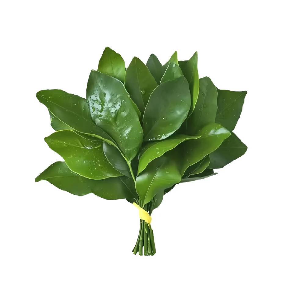 元气养生🌿（提前一天预约）