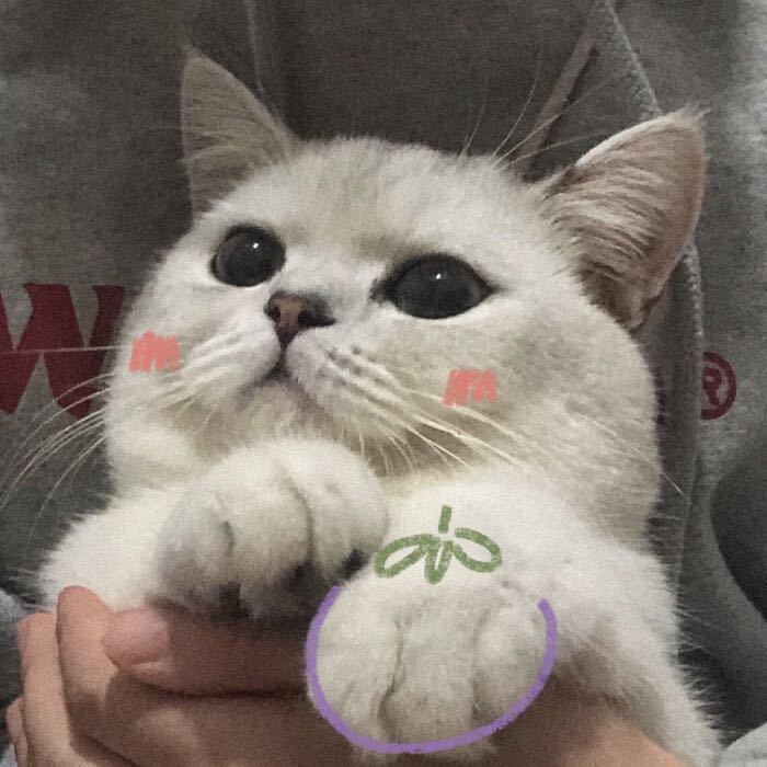 壹