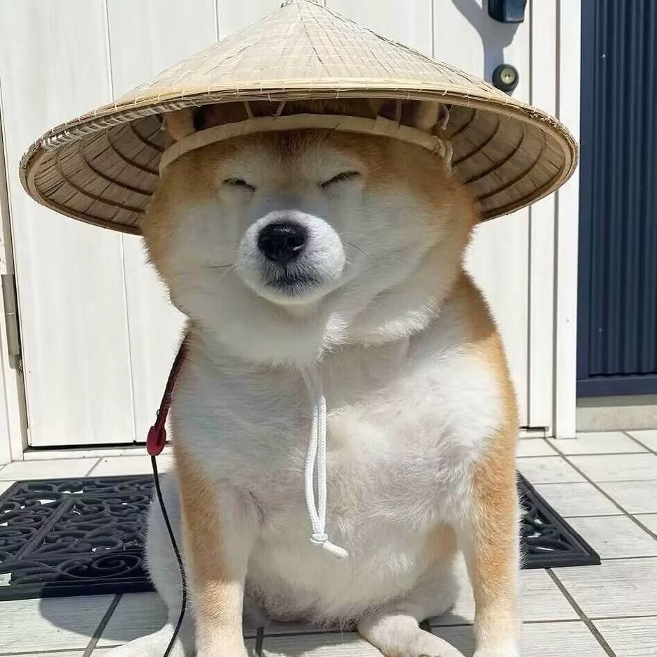 银子怪