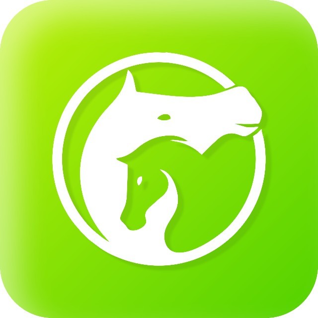 内蒙古两匹马信息科技有限责任公司