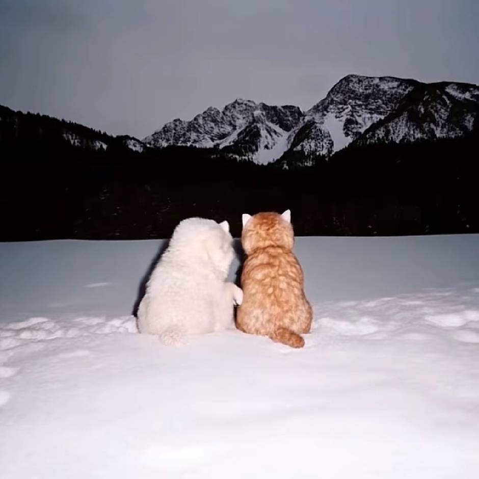 汪小花的饲养员。