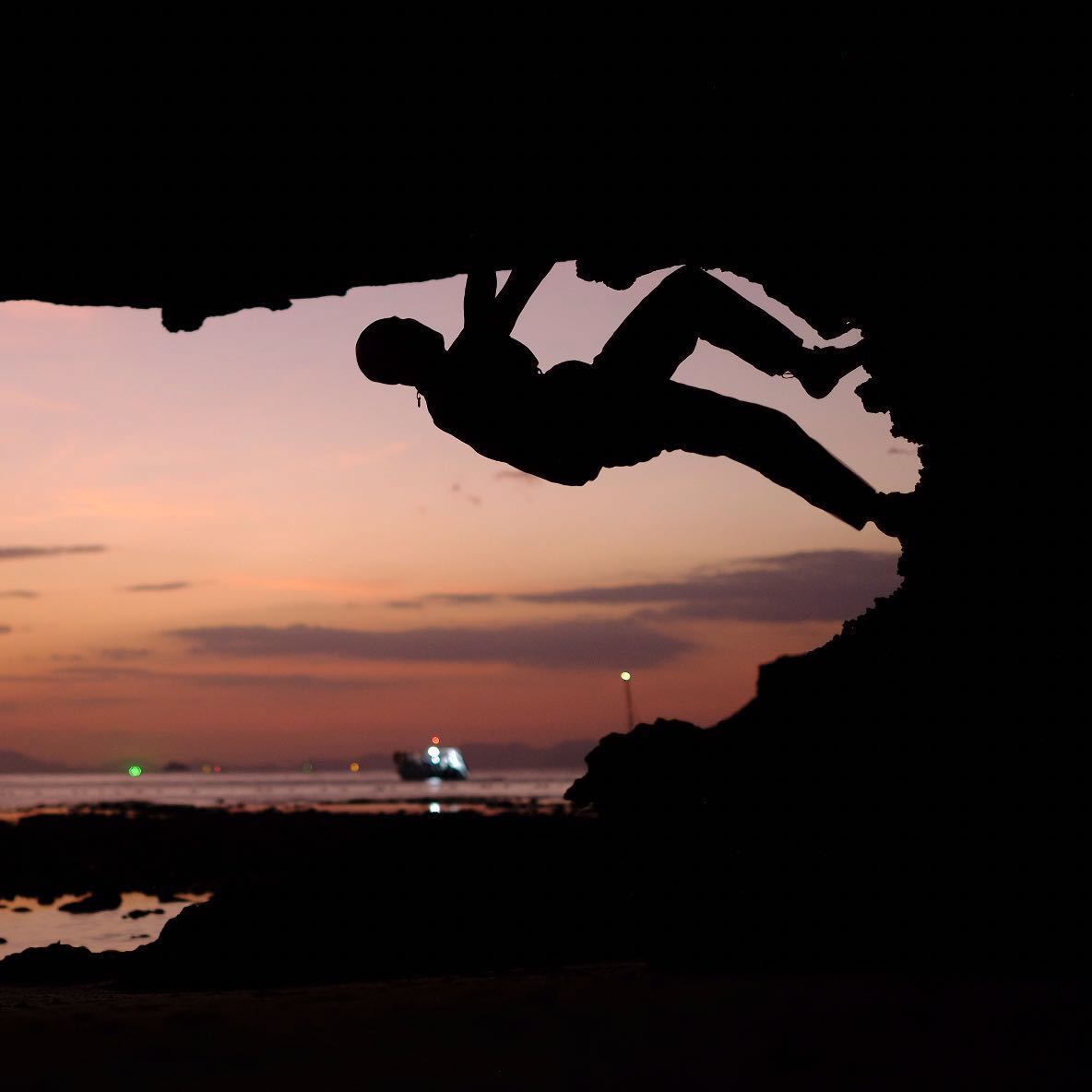 老杨          🌱