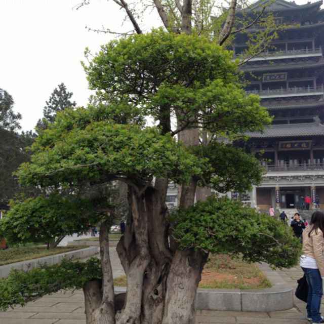 用戶頭像