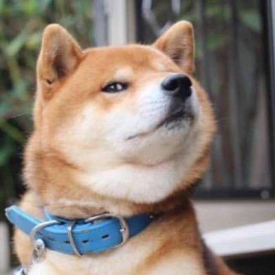 盛。