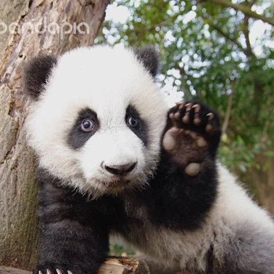 开心每一天17713763230