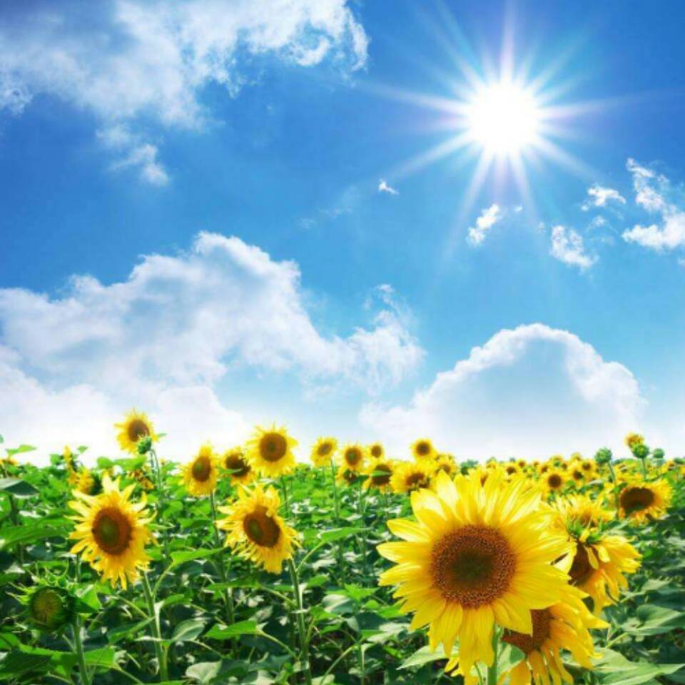 不忘初心（微信智能系统建设）