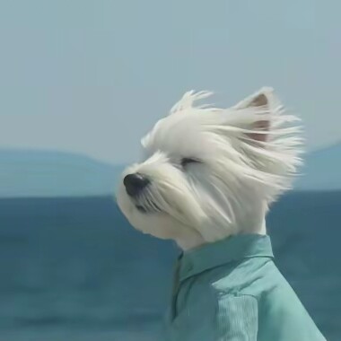 随风