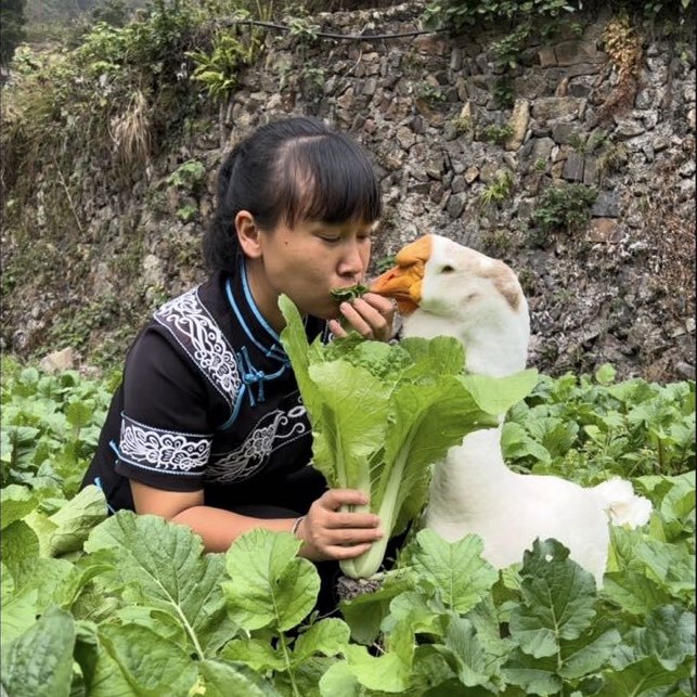 小妹阳和大鹅的山货