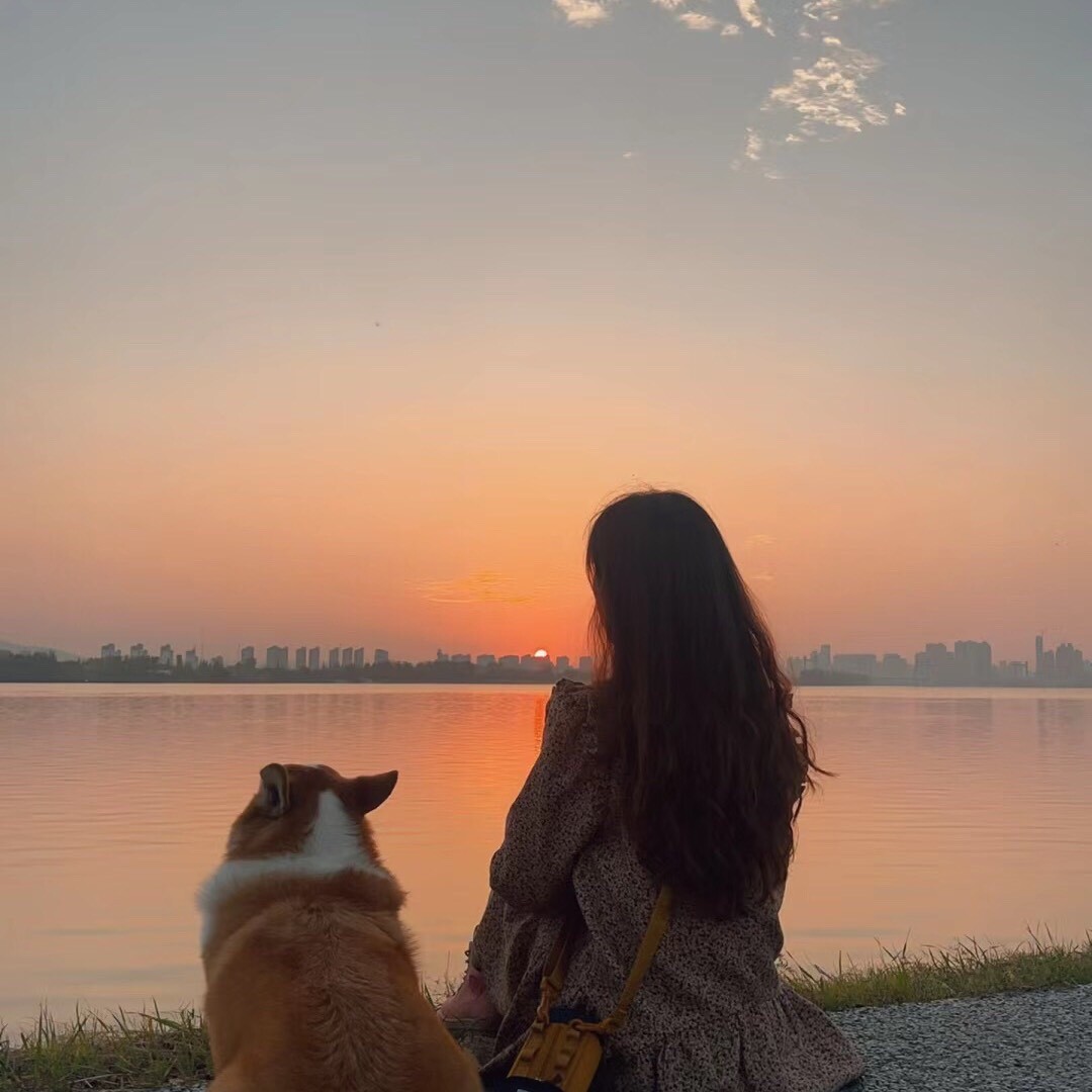 受宠若静-