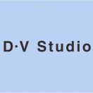 老意法3196档D.Vstudio 产品图