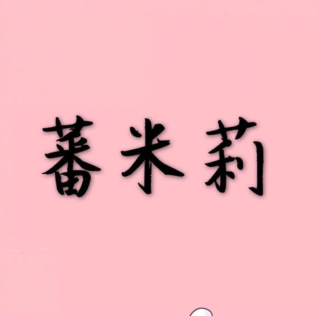 蕃米莉九意法5192A 产品图