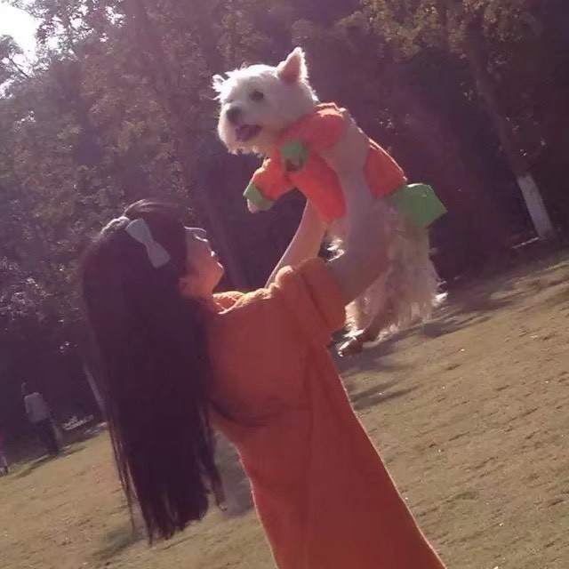 西高地Papi妈妈倒计时版