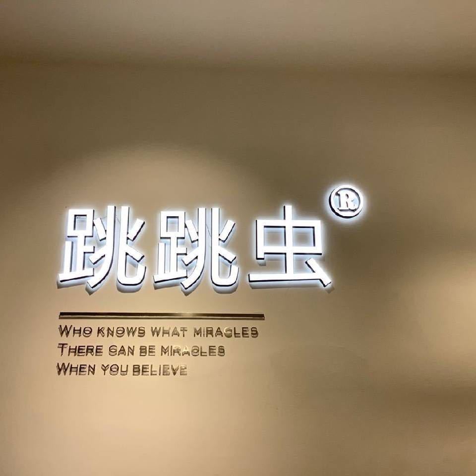 跳跳虫5163 9意法5175B 产品图