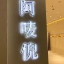 阿唛倪老意法3213B 产品图