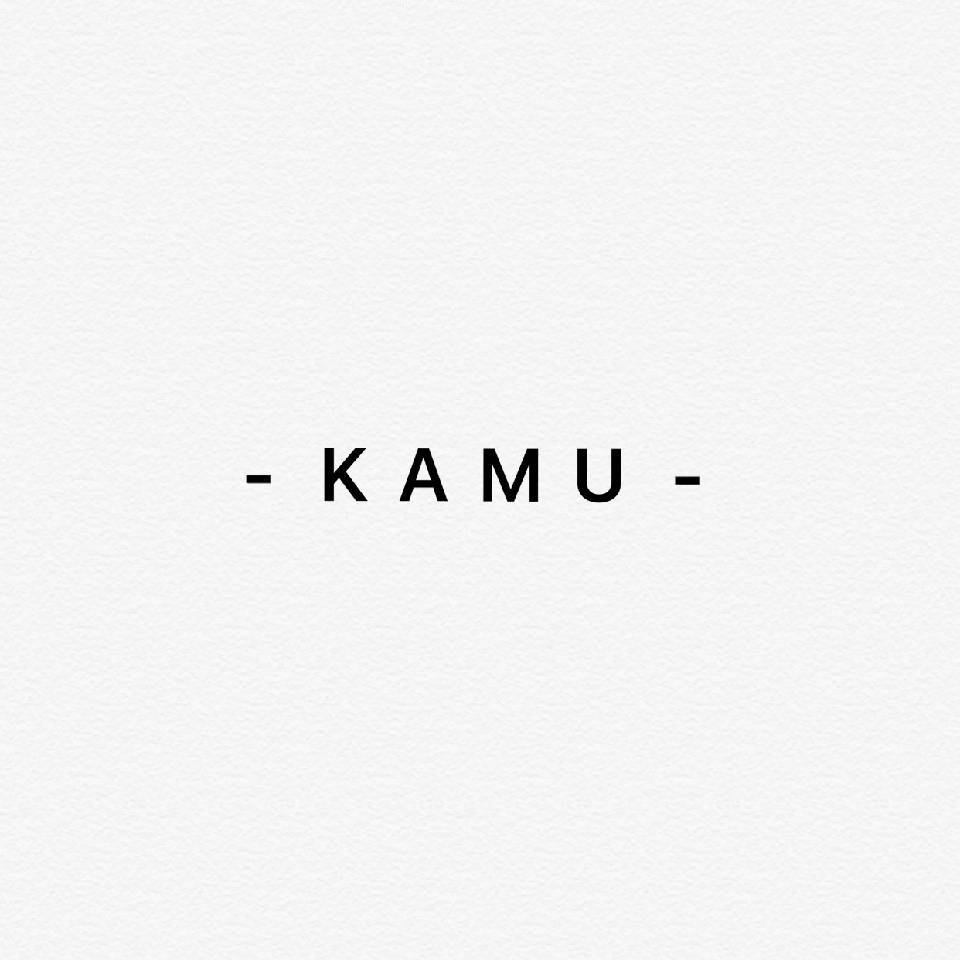 KAMU 新意法211 产品图