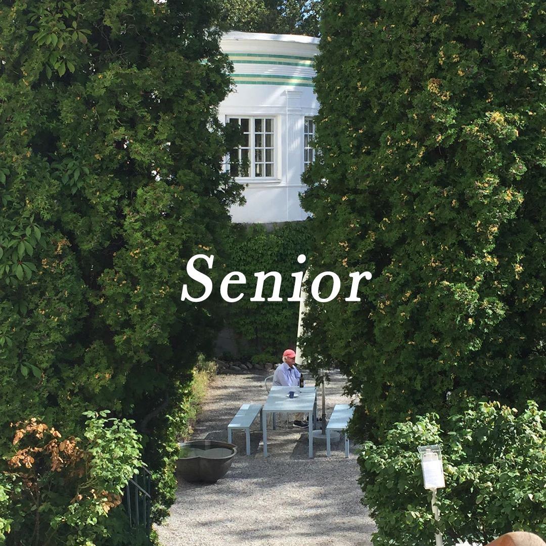 senior老意法1075搬至九意法2188 产品图