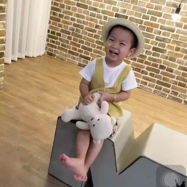 东洋之花9意法4319A（老意法4115） 产品图
