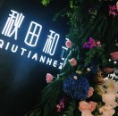 秋田和子6138 产品图