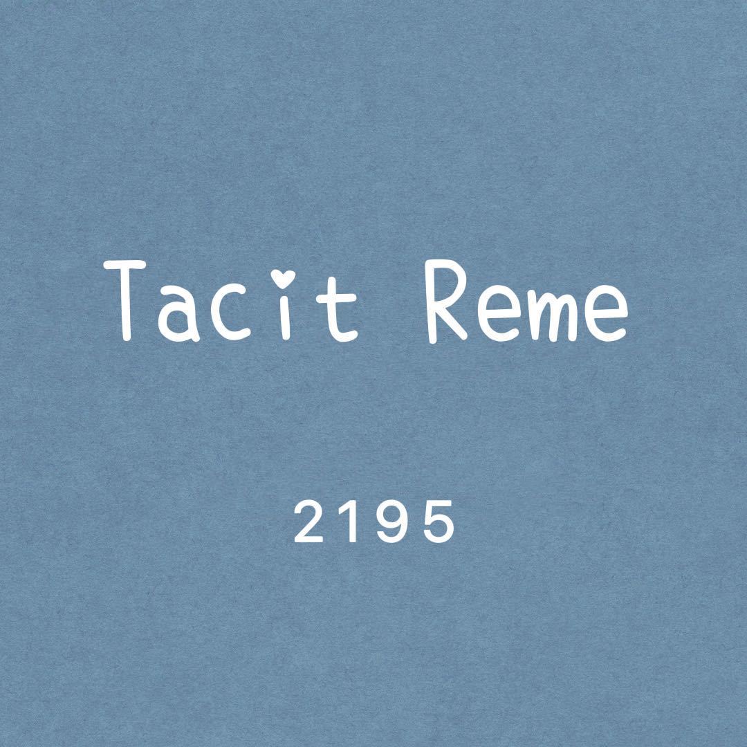 Tacit Reme瑞瑞（9意法1305） 产品图