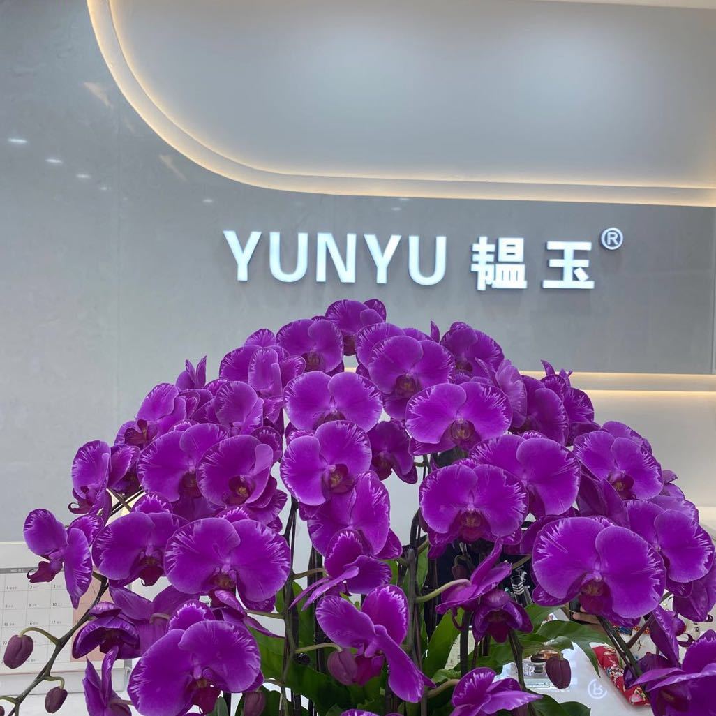 韫玉女裤已搬9意法2322意法6195- 产品图