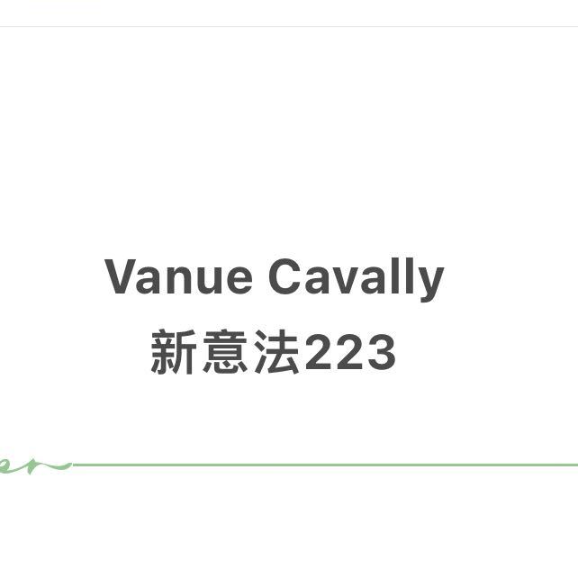 VANUE新意法223 小莉 产品图