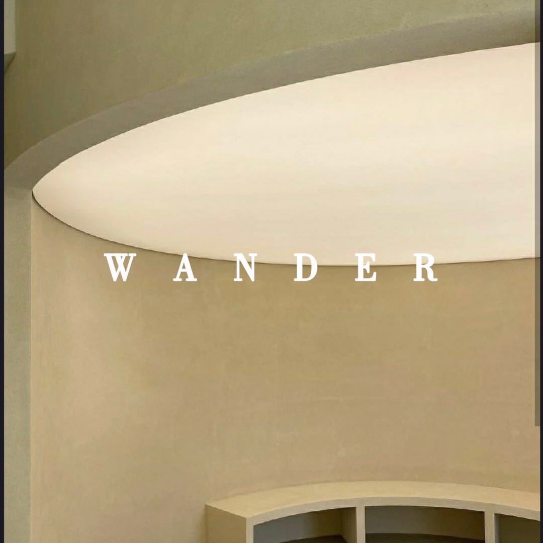 WANDER新意法405（放假中） 产品图