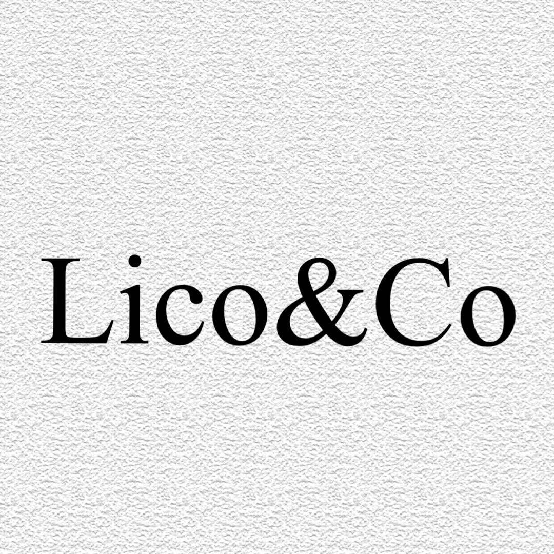 Lico&Co(9意法)3095A 产品图
