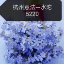 已搬回原档口意法5220水沱3 产品图
