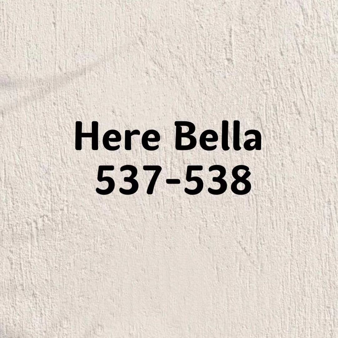 Here新意法537-538 产品图