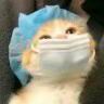 启