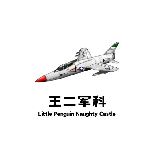 王二说军事