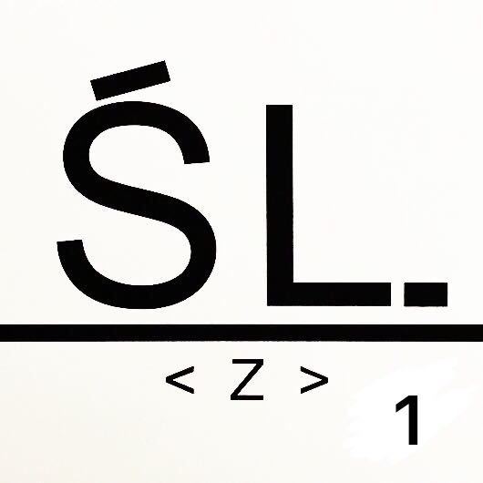 【 S L 】新意法6楼602-603档 产品图