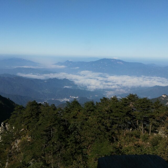 用戶頭像