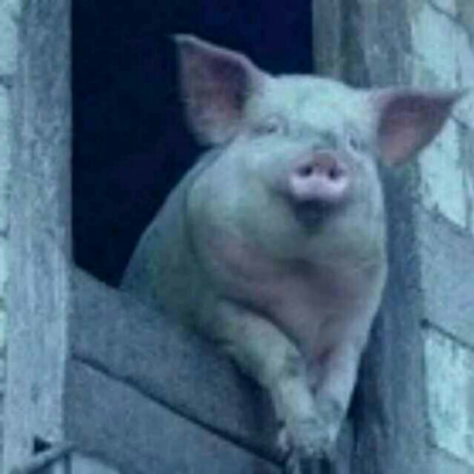 一锅汤